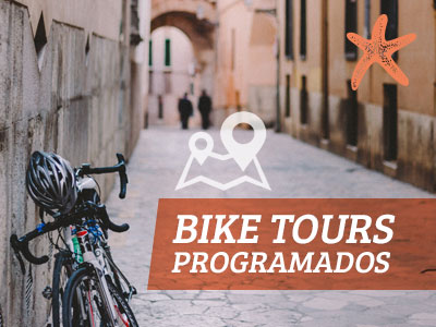 Bike Tour Alicante y Palmeral